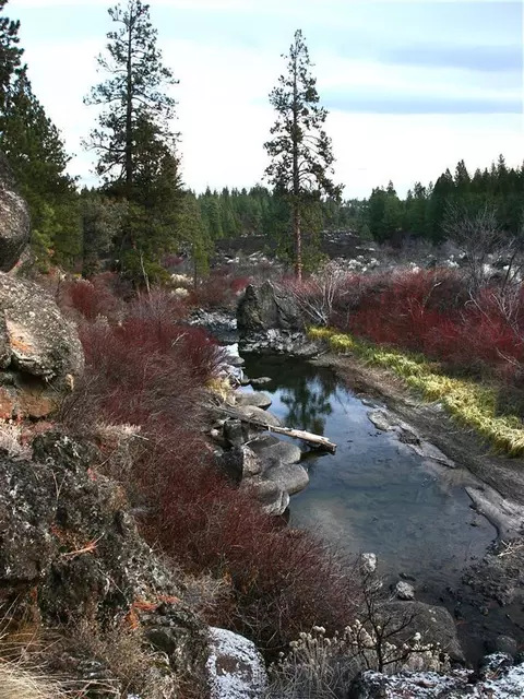 60468 Snap Shot Loop, Bend, OR 97702 photo 24
