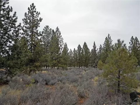20180 Red Sky Ln, Bend, OR 97702 photo 3