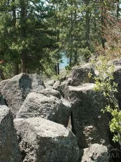 60466 Snap Shot Loop, Bend, OR 97702 photo 5