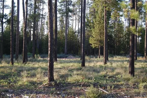 17445 Rail Dr, Bend, OR 97707 photo 7