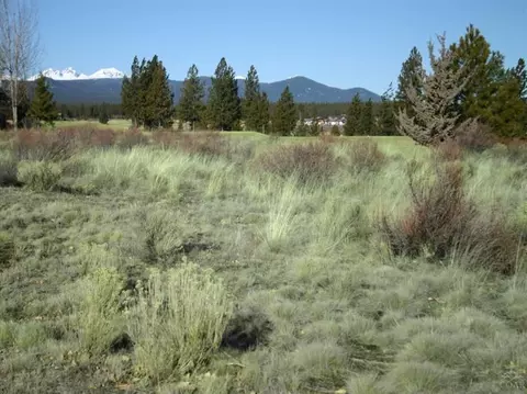 19256 Moraine Ct, Bend, OR 97702 photo 4