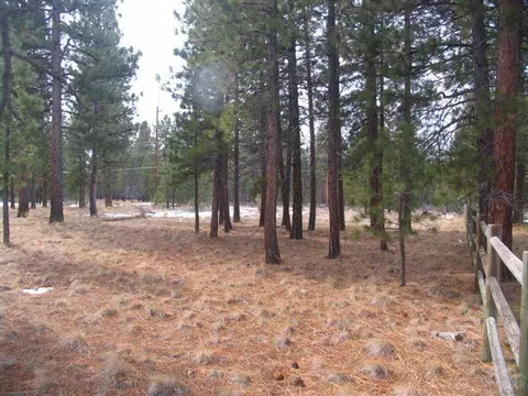 14821 Doubletree, Sisters, OR 97759 photo 3