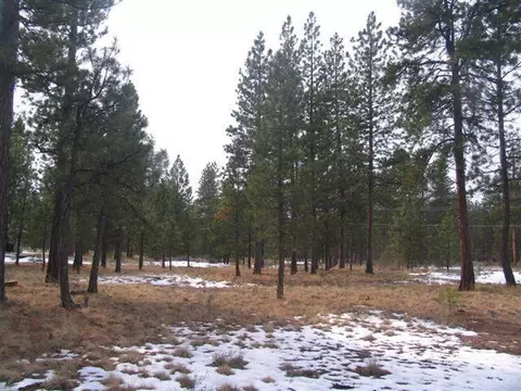 14821 Doubletree, Sisters, OR 97759 photo 1