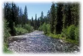 19653 Splashy Rapids Ct, Bend, OR 97702 photo 23