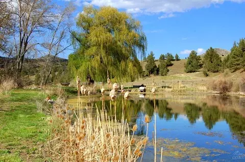 333 Dollarhide Rd, Mitchell, OR 97750 photo 17