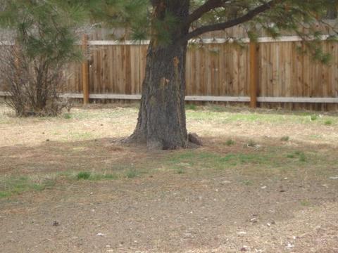 67009 Central St, Bend, OR 97701 photo 17