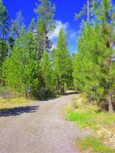 17421 Snow Cap Rd, Bend, OR 97707 photo 19