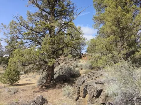 64360 Crosswinds Rd, Bend, OR 97701 photo 1
