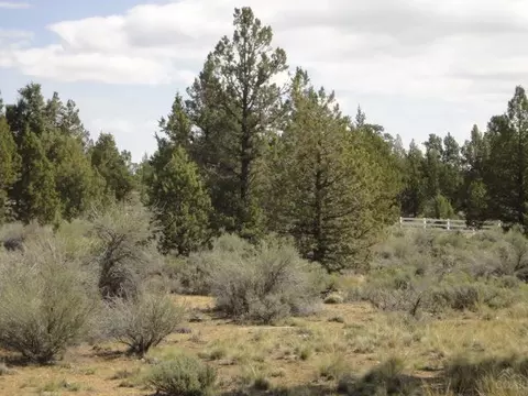 64360 Crosswinds Rd, Bend, OR 97701 photo 16