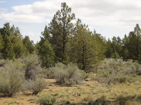 64360 Crosswinds Rd, Bend, OR 97701 photo 7