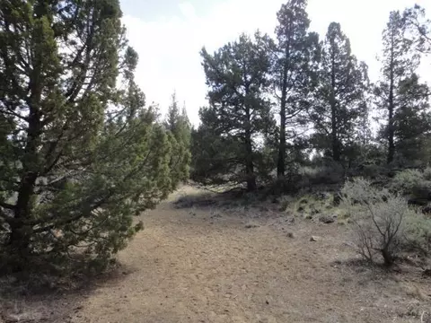 64360 Crosswinds Rd, Bend, OR 97701 photo 13