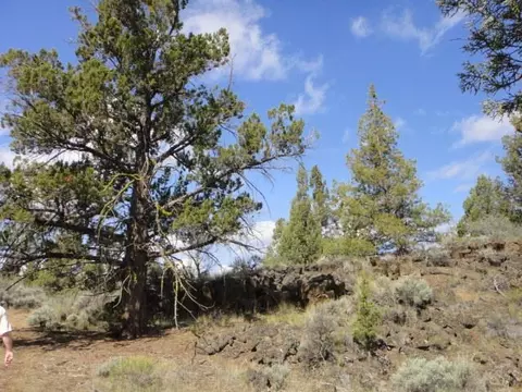 64360 Crosswinds Rd, Bend, OR 97701 photo 15