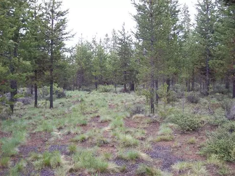 54830 Wolf St, Bend, OR 97707 photo 5