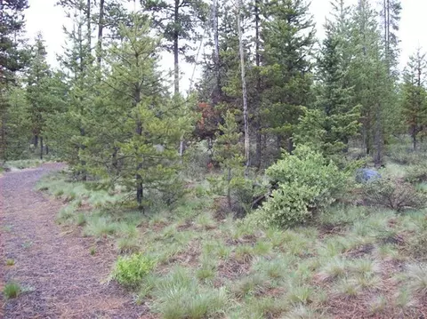 54830 Wolf St, Bend, OR 97707 photo 2