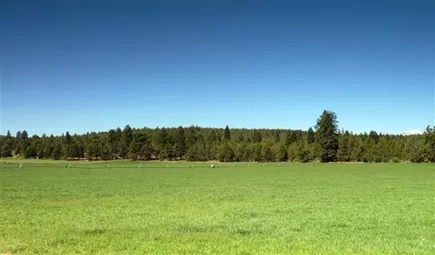 64905 Collins Rd, Bend, OR 97701 photo 4