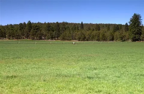 64905 Collins Rd, Bend, OR 97701 photo 5