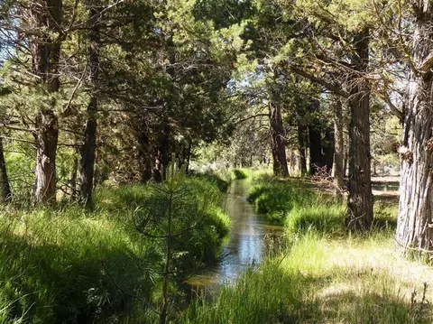 64905 Collins Rd, Bend, OR 97701 photo 7