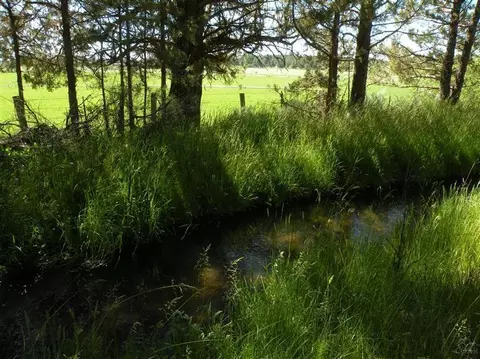 64905 Collins Rd, Bend, OR 97701 photo 6