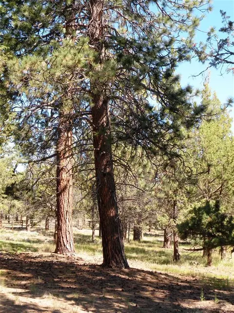 64905 Collins Rd, Bend, OR 97701 photo 8