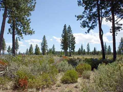 18670 Macalpine Loop, Bend, OR 97701 photo 9