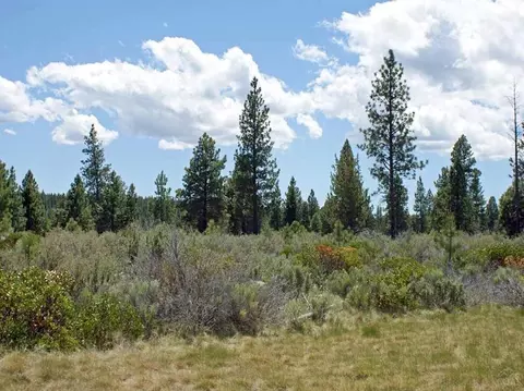 18670 Macalpine Loop, Bend, OR 97701 photo 3