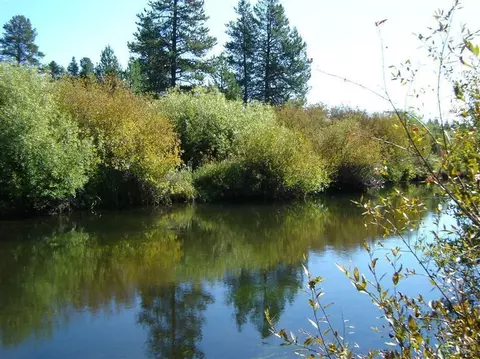 53902 Pine Grove Rd, La Pine, OR 97739 photo 15