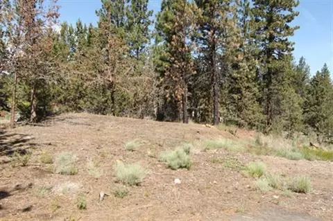 63268 Cherokee Ln, Bend, OR 97701 photo 5