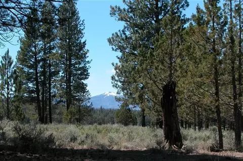 67550 Harrington Loop, Bend, OR 97701 photo 4