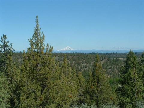 1654 NW Wild Rye Cir, Bend, OR 97701 photo 2