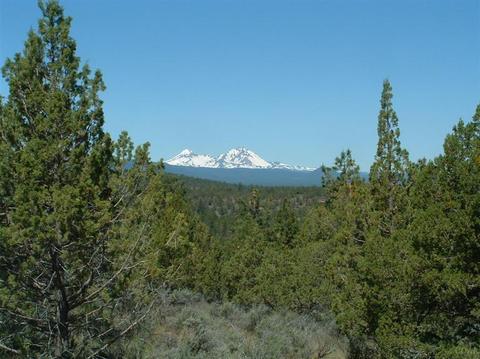 1654 NW Wild Rye Cir, Bend, OR 97701 photo 1
