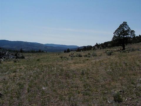 43555 SE Shotgun Rd, Post, OR 97752 photo 3