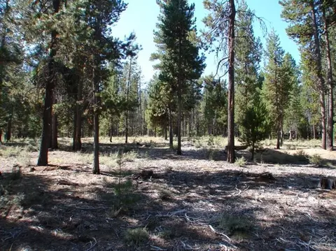54821 Witch Tree Rd, Bend, OR 97707 photo 8