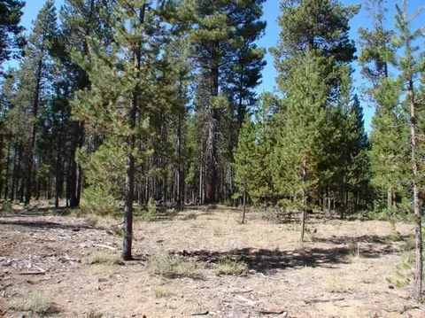 54821 Witch Tree Rd, Bend, OR 97707 photo 6