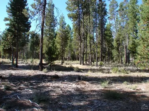 54821 Witch Tree Rd, Bend, OR 97707 photo 7