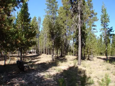 54821 Witch Tree Rd, Bend, OR 97707 photo 4