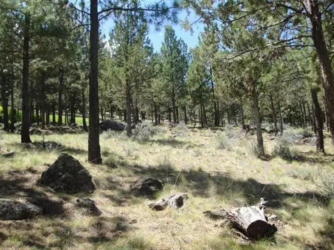 3533 NW Wethered Ct, Bend, OR 97701 photo 4