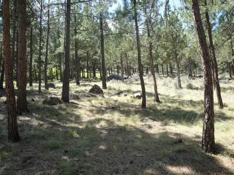 3533 NW Wethered Ct, Bend, OR 97701 photo 3