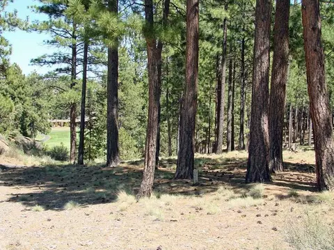 19298 Green Lakes Loop, Bend, OR 97702 photo 2