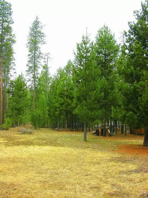 52909 Shady Ln, La Pine, OR 97739 photo 24