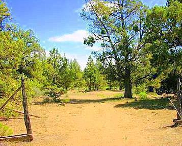 22355 Neff Rd, Bend, OR 97701 photo 3
