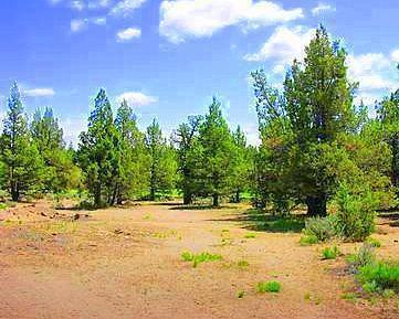22355 Neff Rd, Bend, OR 97701 photo 7