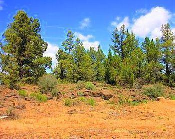 22355 Neff Rd, Bend, OR 97701 photo 5