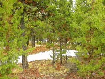 56073 Sandpiper Rd, Bend, OR 97707 photo 2