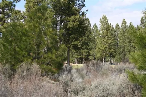 61601 Tam Mcarthur Loop, Bend, OR 97702 photo 6