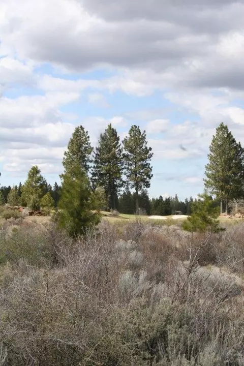 61601 Tam Mcarthur Loop, Bend, OR 97702 photo 2