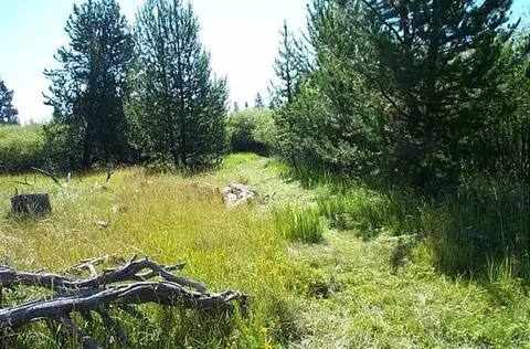 53762 Bridge Dr, La Pine, OR 97739 photo 9
