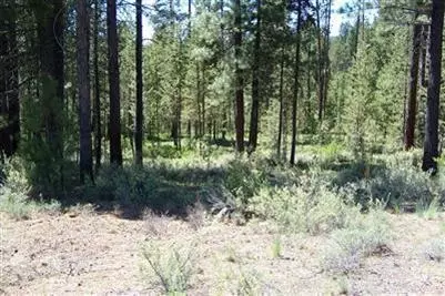 17074 Cooper Dr, Bend, OR 97707 photo 5