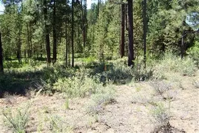 17074 Cooper Dr, Bend, OR 97707 photo 6