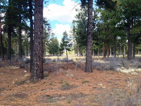 20162 Stonegate Dr, Bend, OR 97702 photo 17