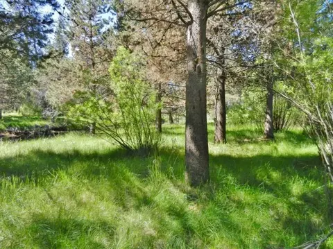 56176 Stellar Dr, Bend, OR 97707 photo 16